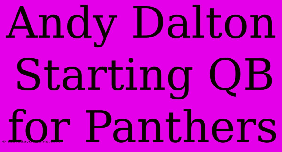 Andy Dalton Starting QB For Panthers