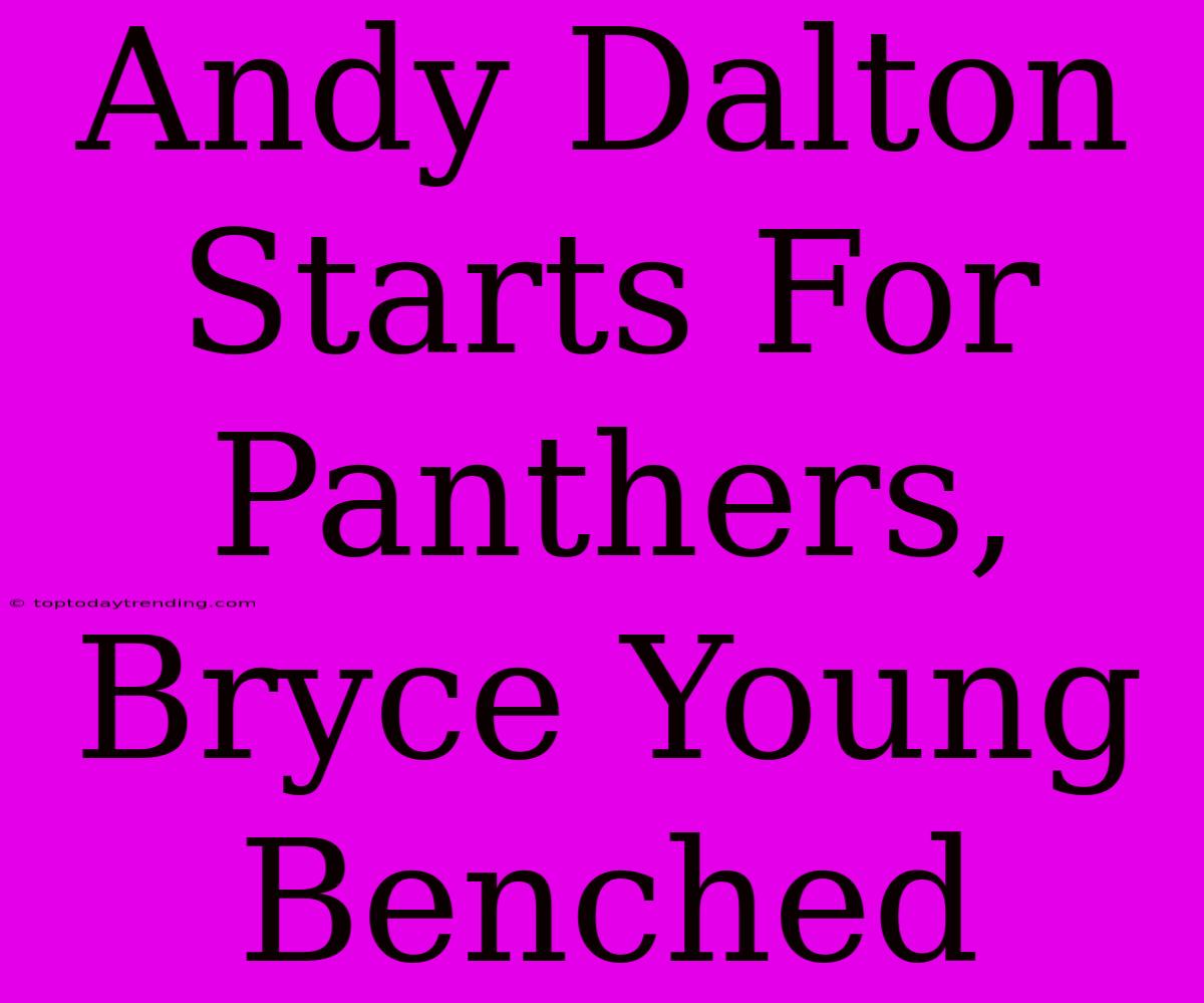 Andy Dalton Starts For Panthers, Bryce Young Benched