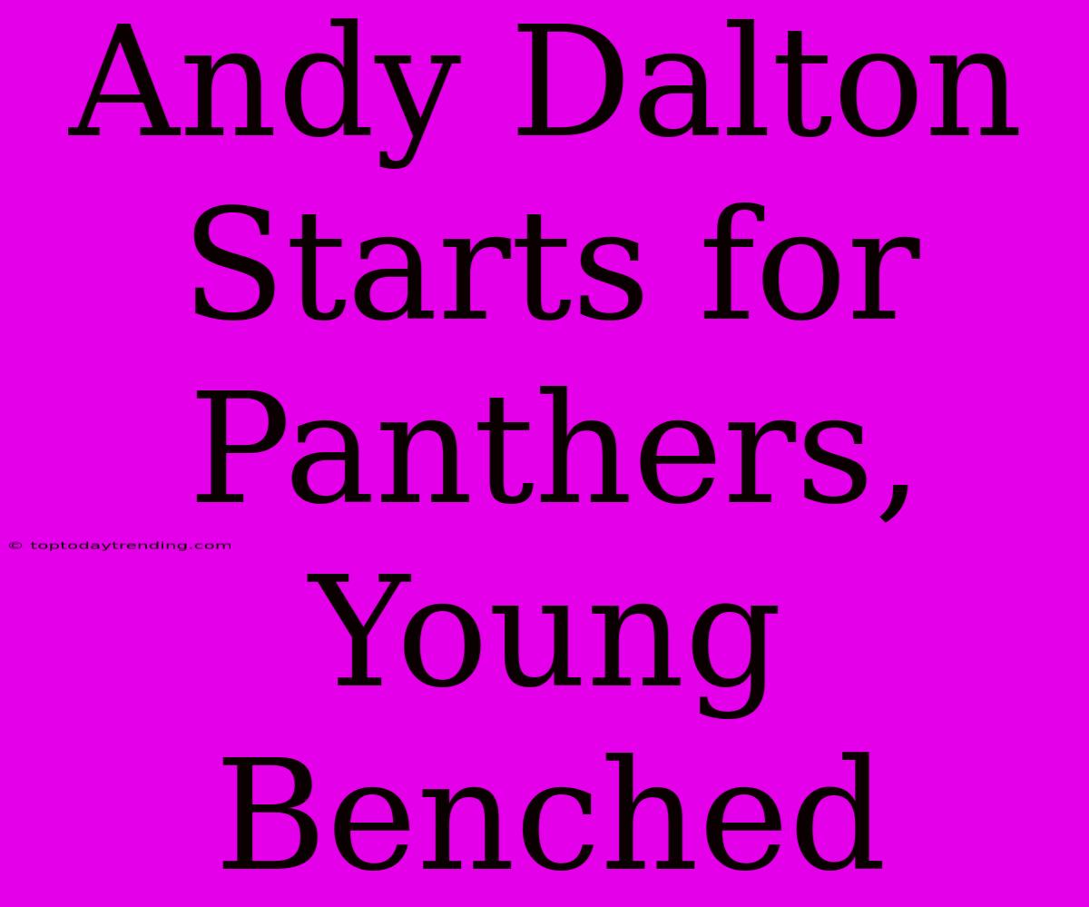 Andy Dalton Starts For Panthers, Young Benched