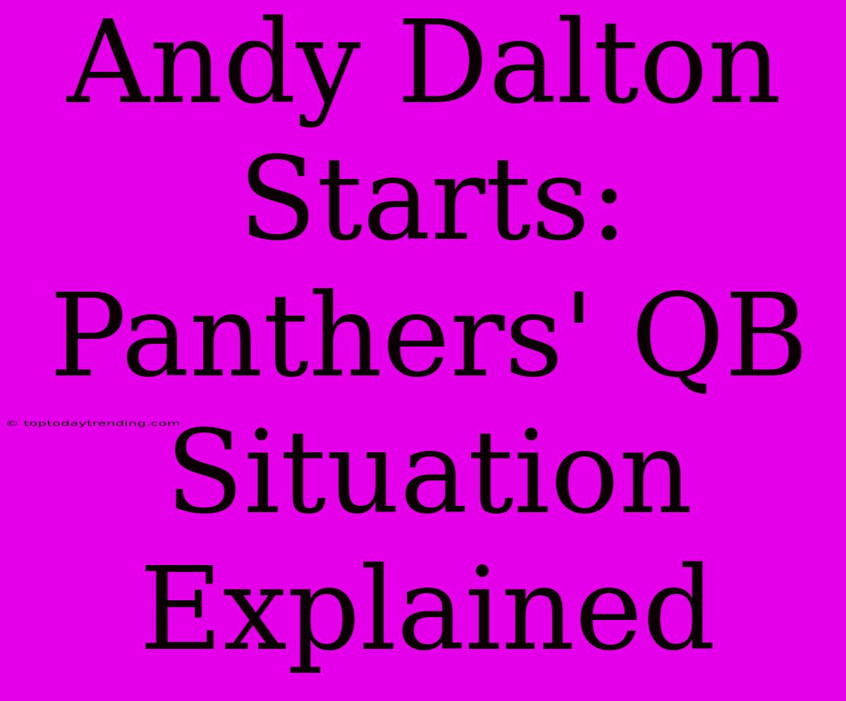 Andy Dalton Starts: Panthers' QB Situation Explained