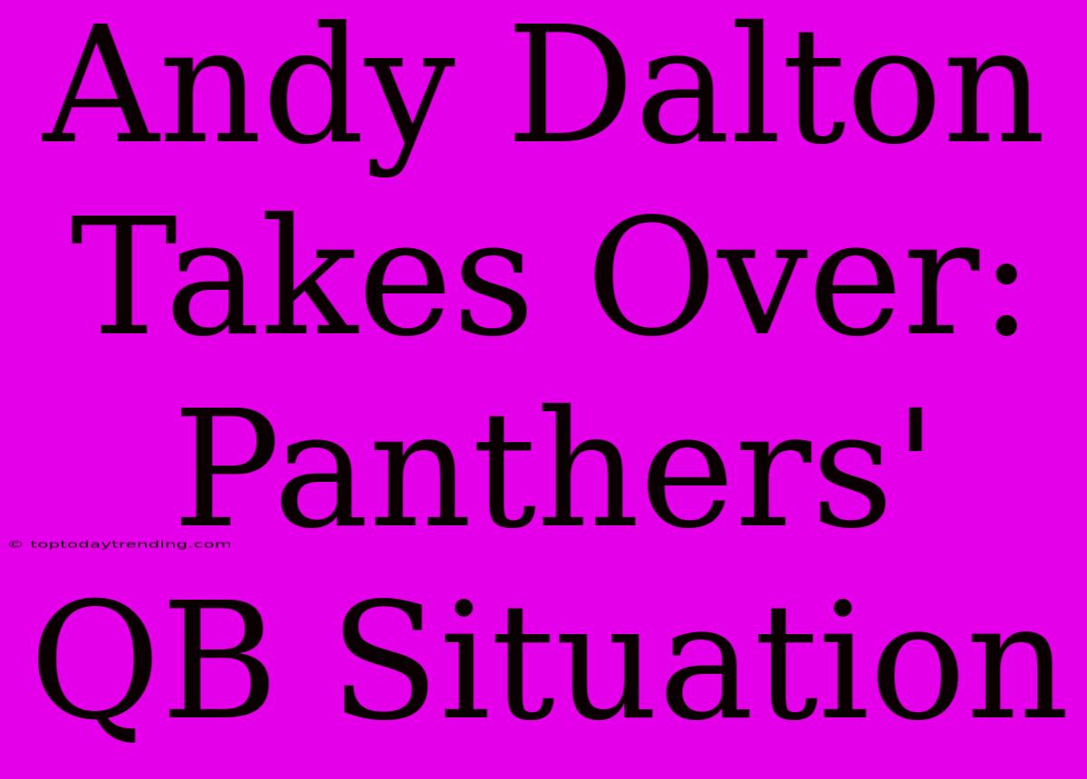 Andy Dalton Takes Over: Panthers' QB Situation