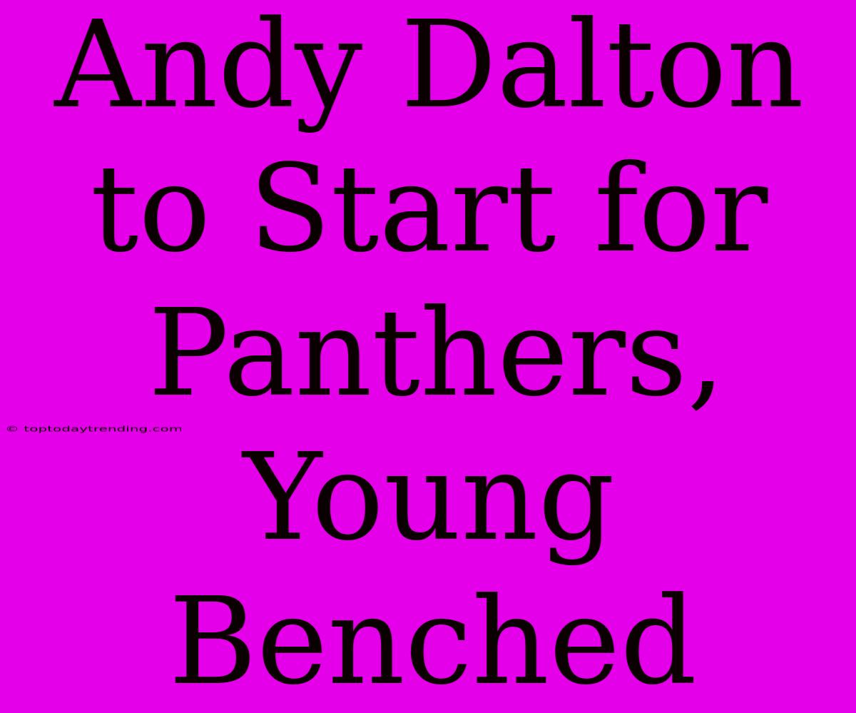 Andy Dalton To Start For Panthers, Young Benched