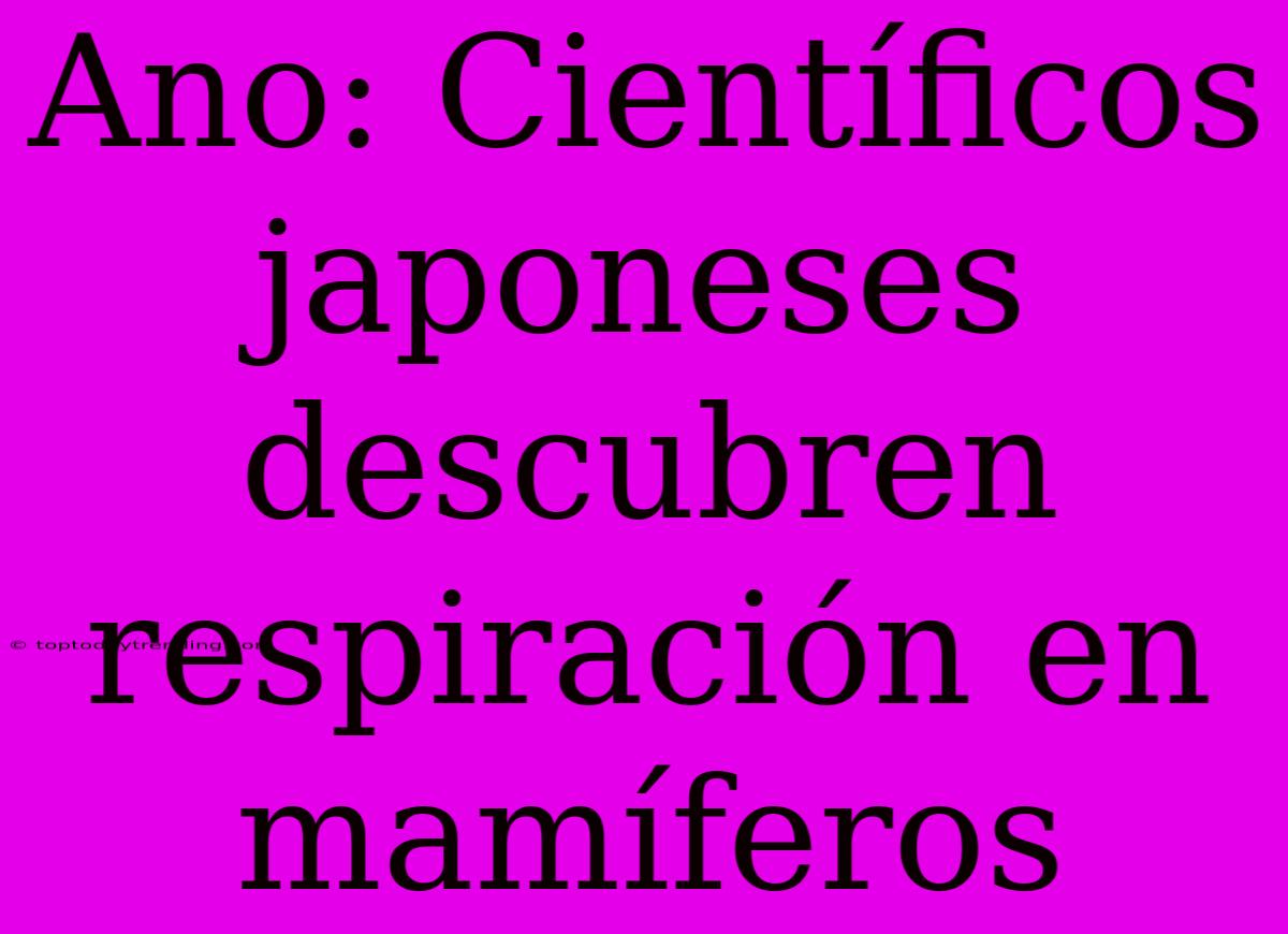 Ano: Científicos Japoneses Descubren Respiración En Mamíferos