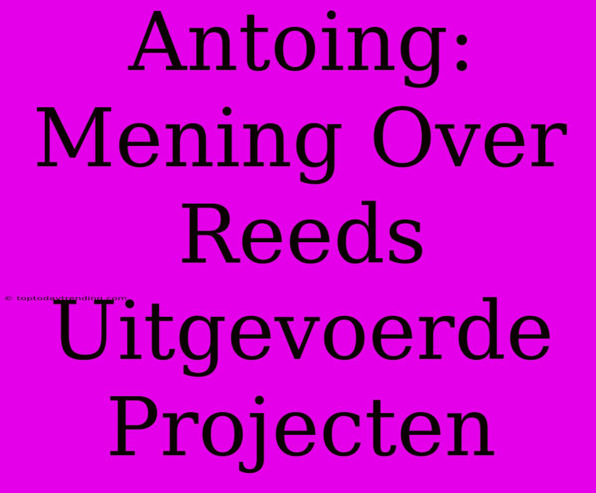 Antoing: Mening Over Reeds Uitgevoerde Projecten