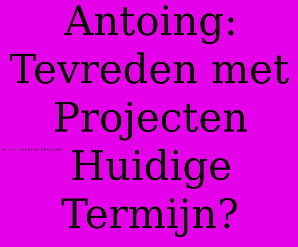 Antoing: Tevreden Met Projecten Huidige Termijn?