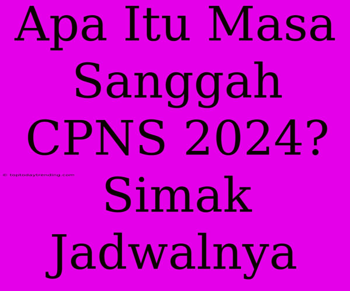 Apa Itu Masa Sanggah CPNS 2024? Simak Jadwalnya