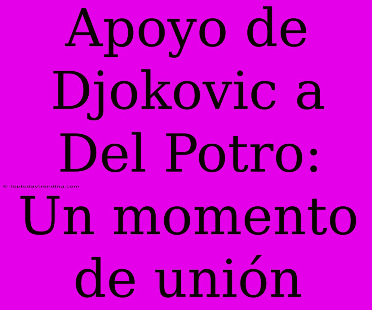 Apoyo De Djokovic A Del Potro: Un Momento De Unión