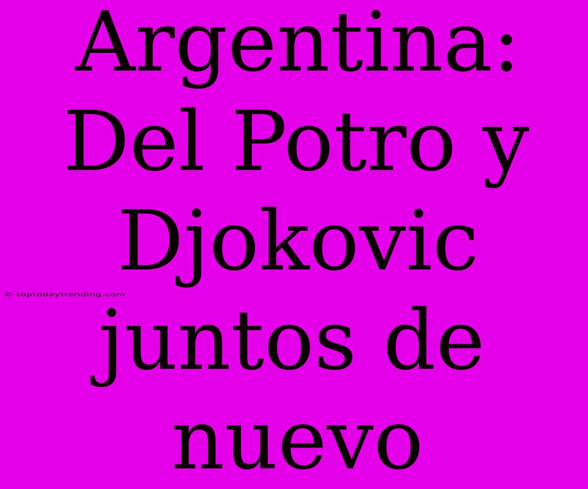 Argentina: Del Potro Y Djokovic Juntos De Nuevo