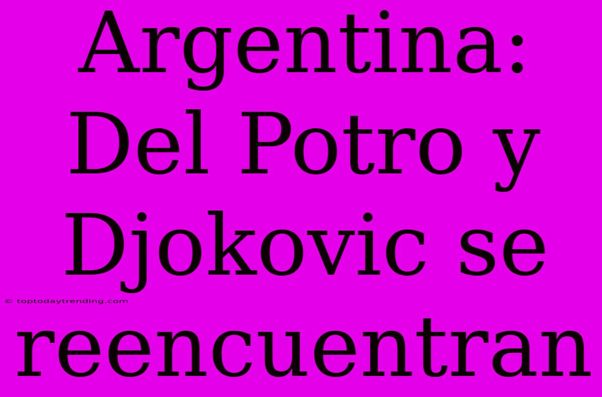 Argentina: Del Potro Y Djokovic Se Reencuentran