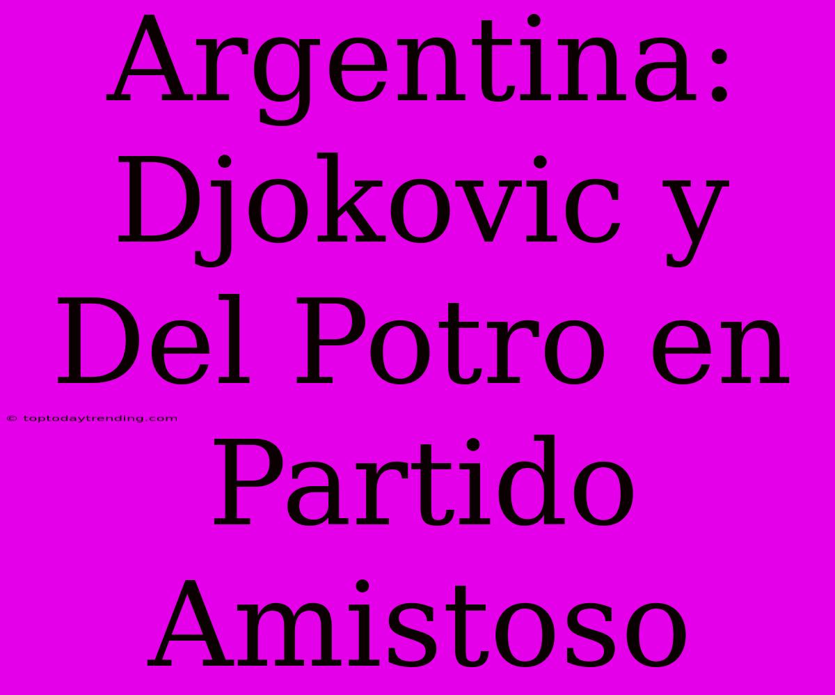 Argentina: Djokovic Y Del Potro En Partido Amistoso