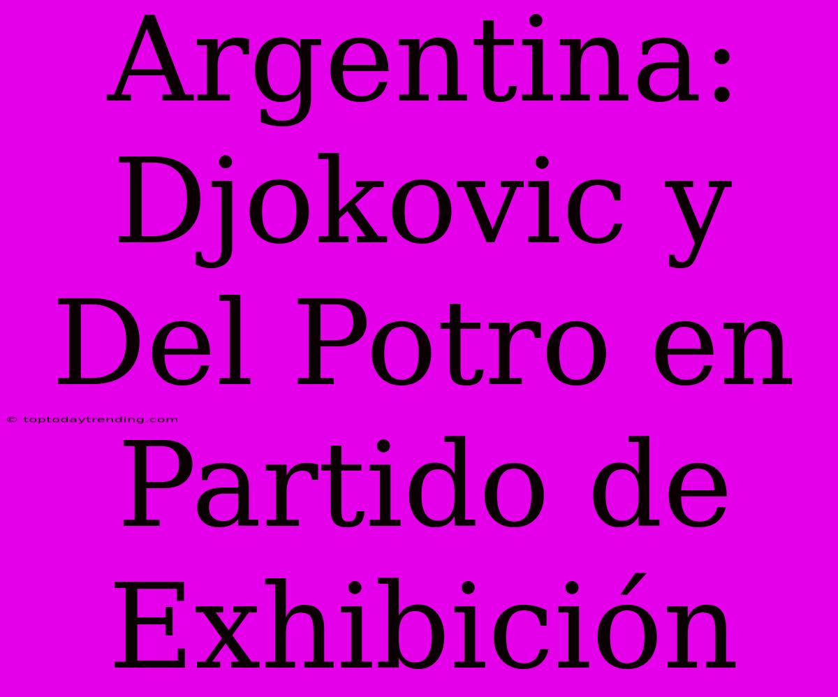 Argentina: Djokovic Y Del Potro En Partido De Exhibición