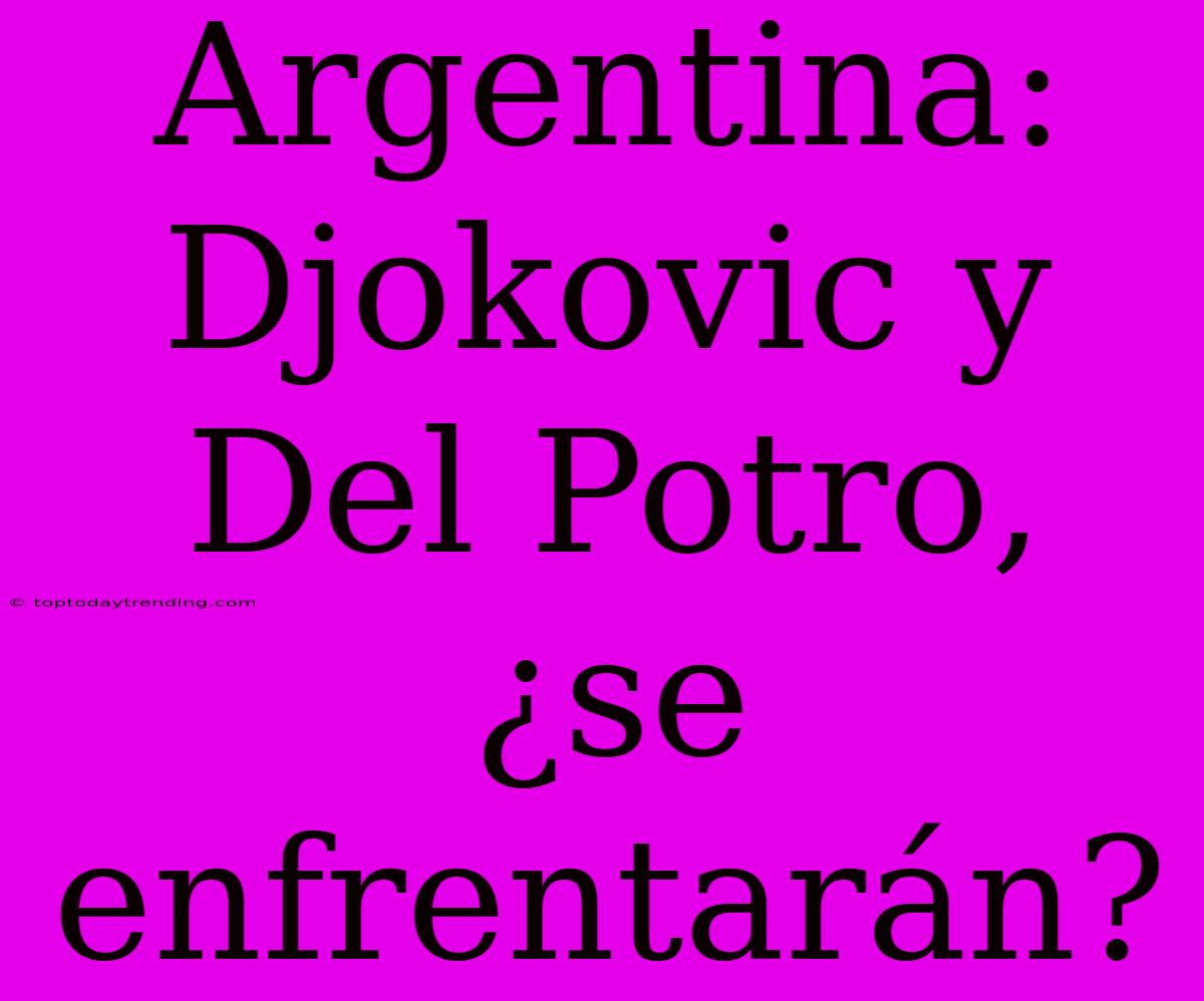 Argentina: Djokovic Y Del Potro, ¿se Enfrentarán?