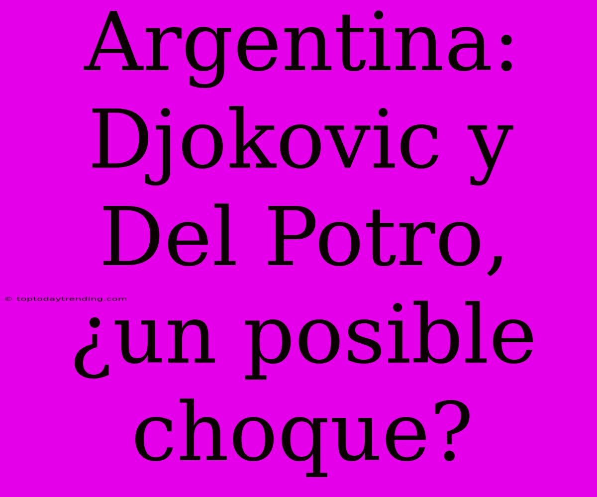 Argentina: Djokovic Y Del Potro, ¿un Posible Choque?