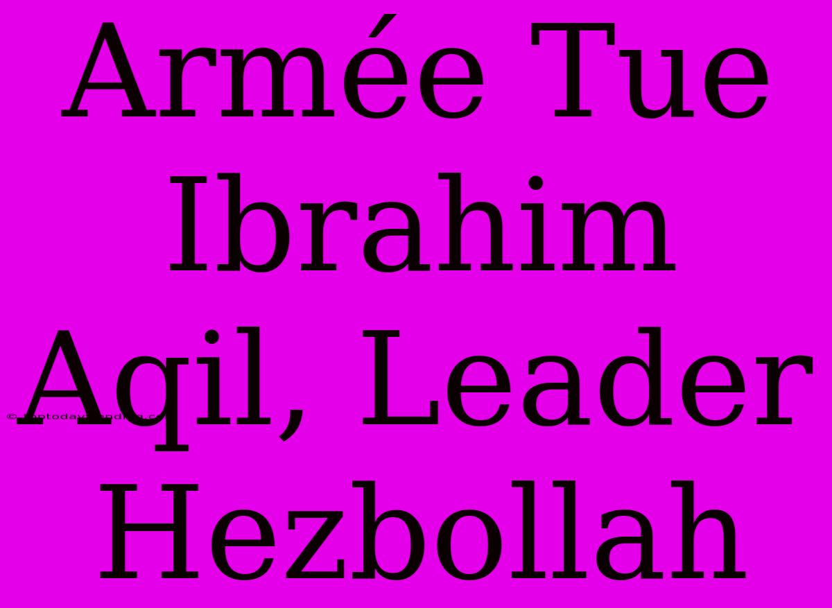 Armée Tue Ibrahim Aqil, Leader Hezbollah