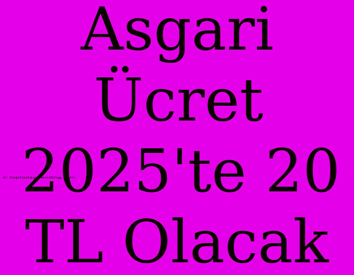 Asgari Ücret 2025'te 20 TL Olacak