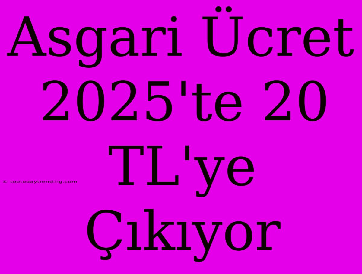 Asgari Ücret 2025'te 20 TL'ye Çıkıyor