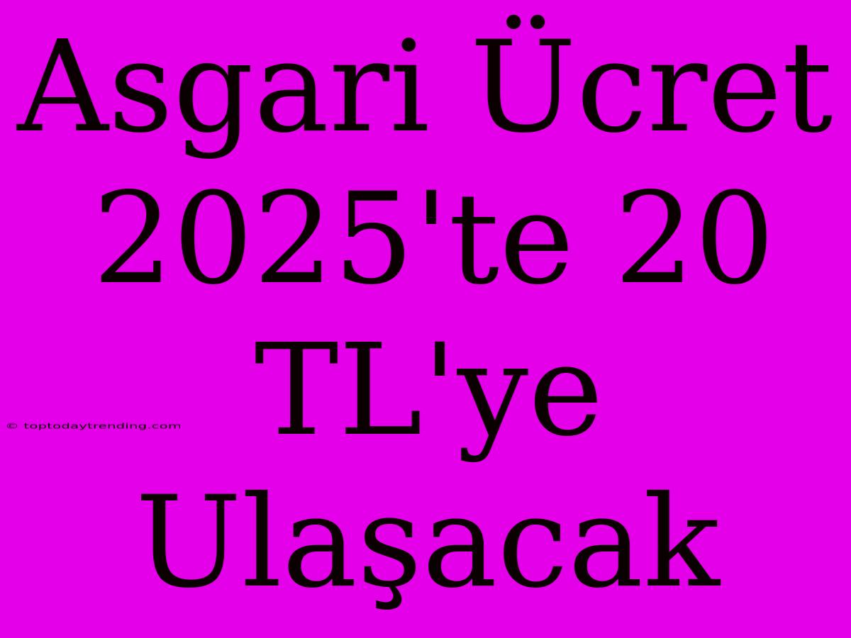 Asgari Ücret 2025'te 20 TL'ye Ulaşacak