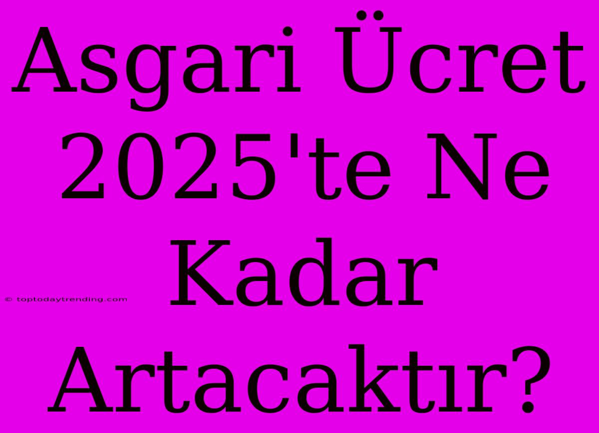 Asgari Ücret 2025'te Ne Kadar Artacaktır?