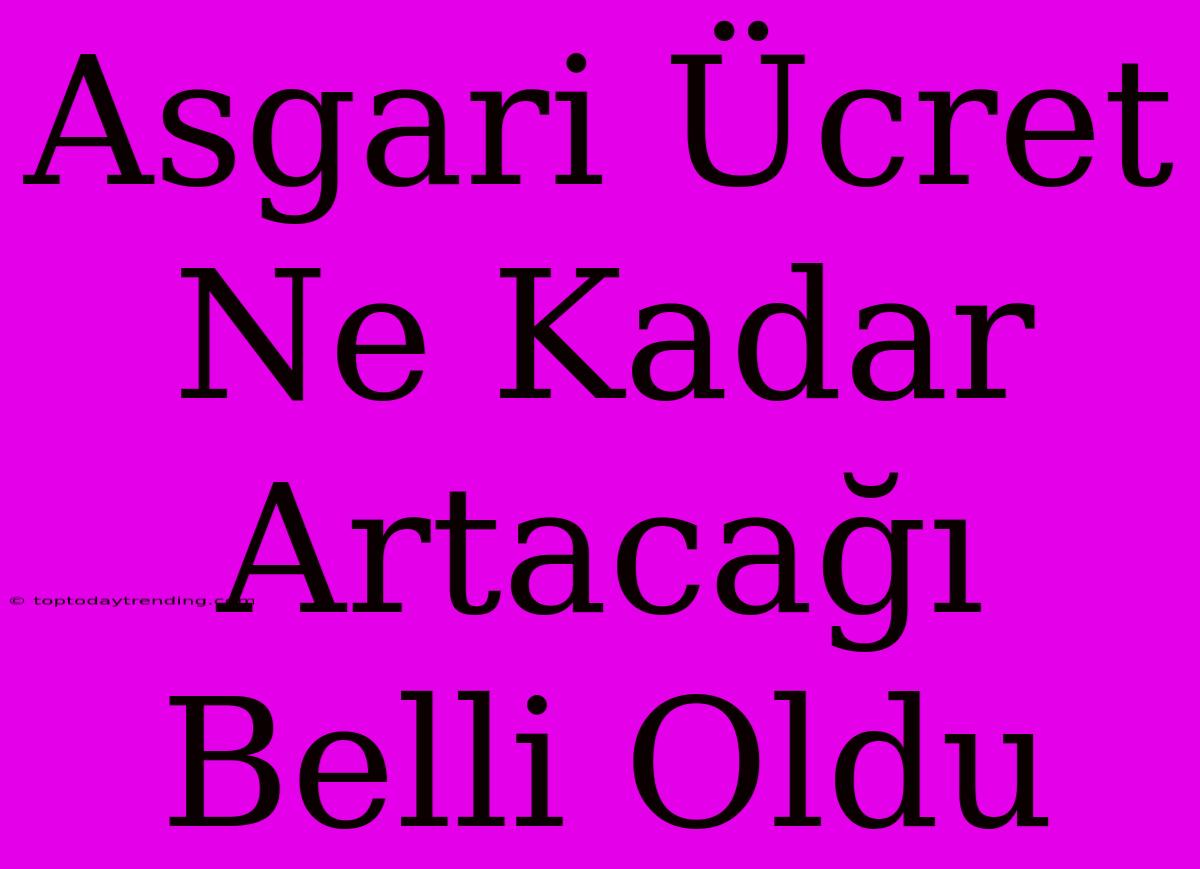 Asgari Ücret Ne Kadar Artacağı Belli Oldu