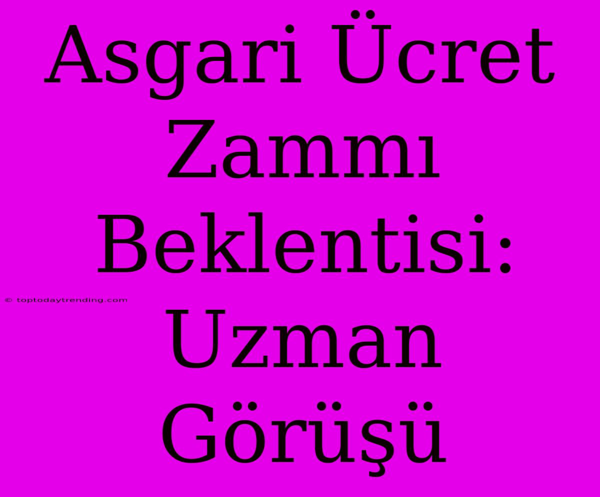 Asgari Ücret Zammı Beklentisi: Uzman Görüşü