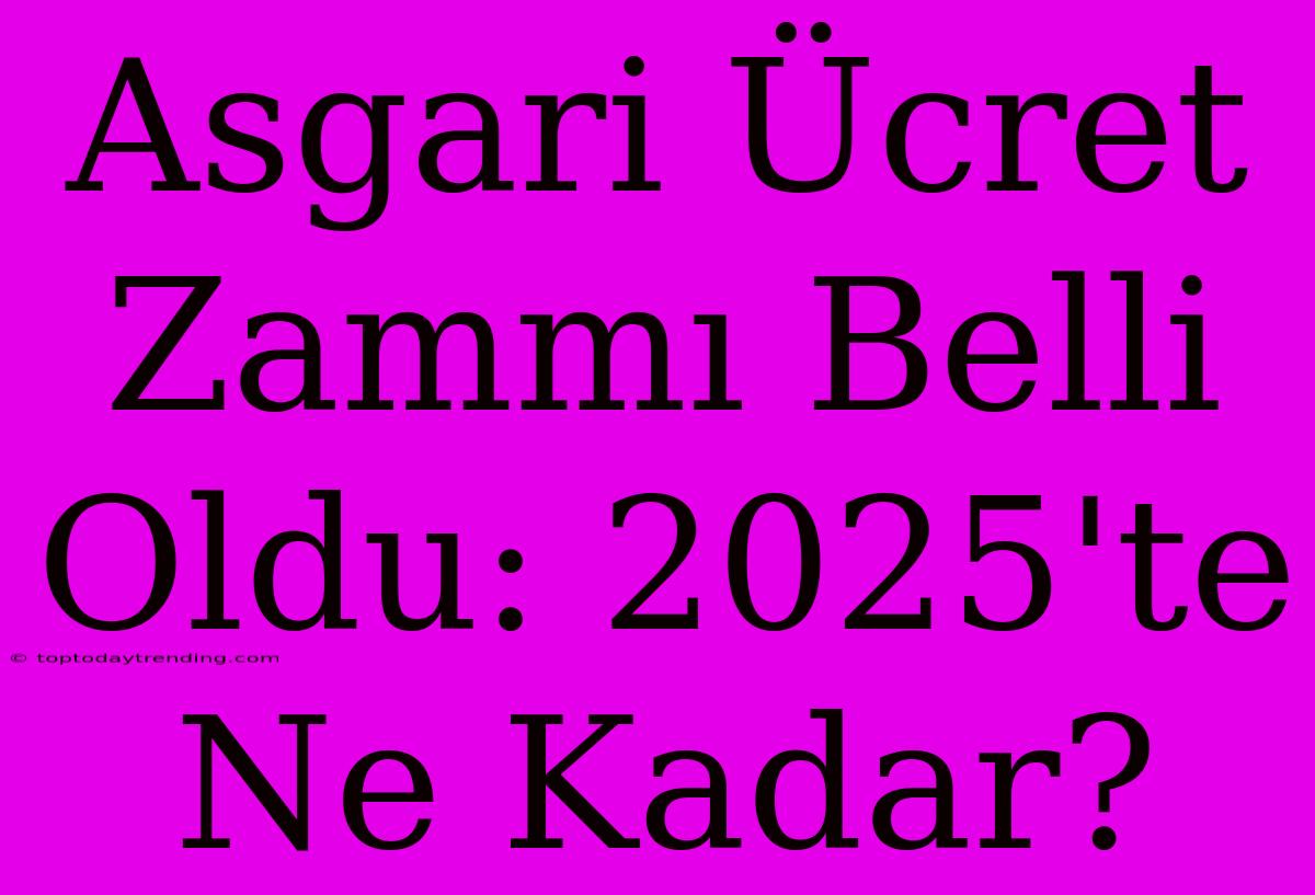 Asgari Ücret Zammı Belli Oldu: 2025'te Ne Kadar?