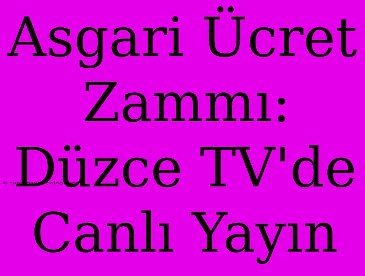 Asgari Ücret Zammı: Düzce TV'de Canlı Yayın