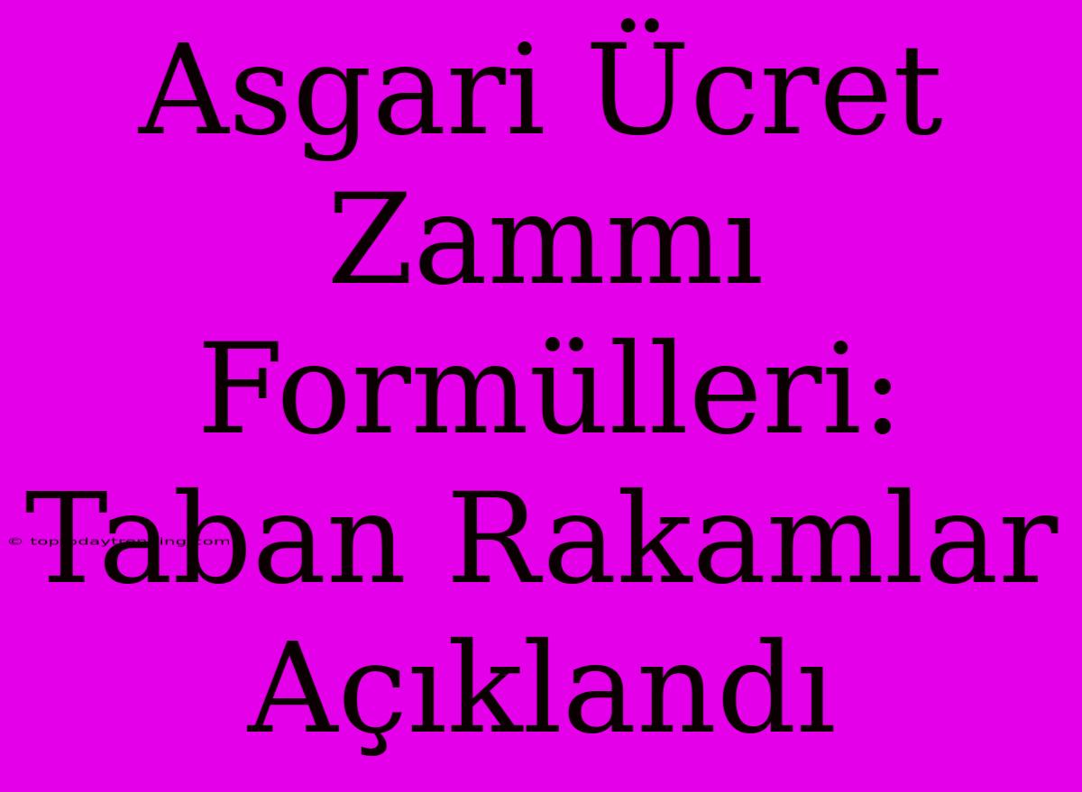 Asgari Ücret Zammı Formülleri: Taban Rakamlar Açıklandı