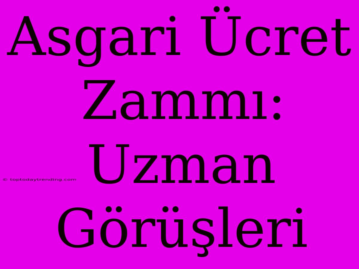 Asgari Ücret Zammı: Uzman Görüşleri