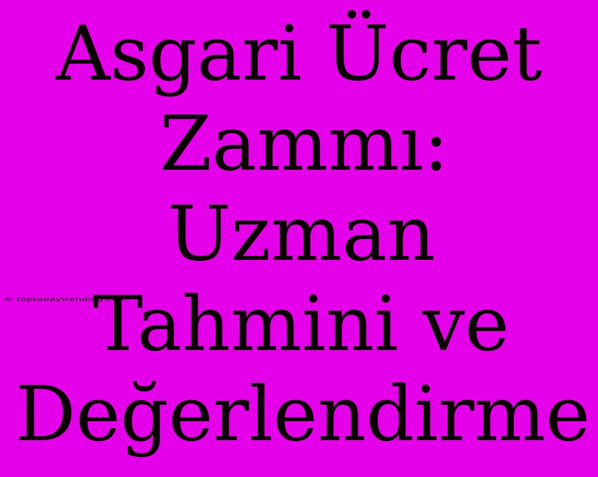 Asgari Ücret Zammı: Uzman Tahmini Ve Değerlendirme