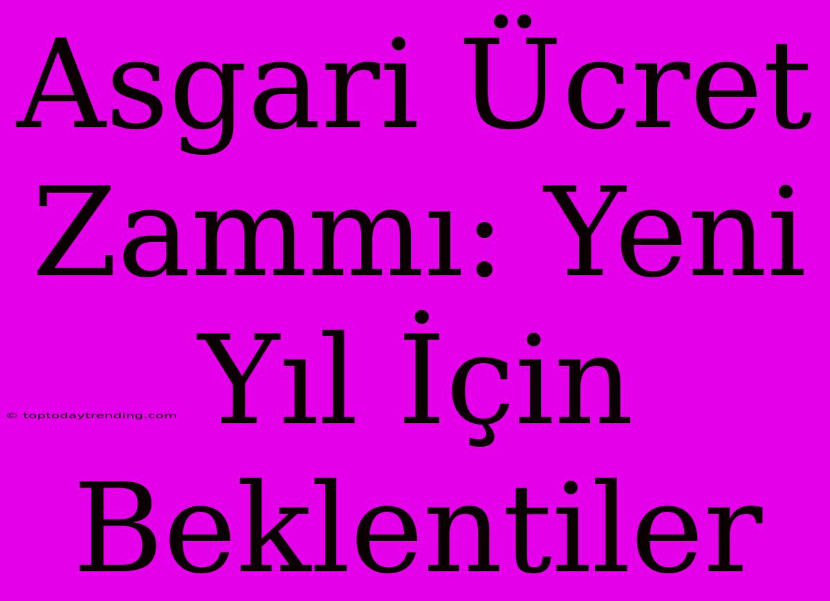 Asgari Ücret Zammı: Yeni Yıl İçin Beklentiler