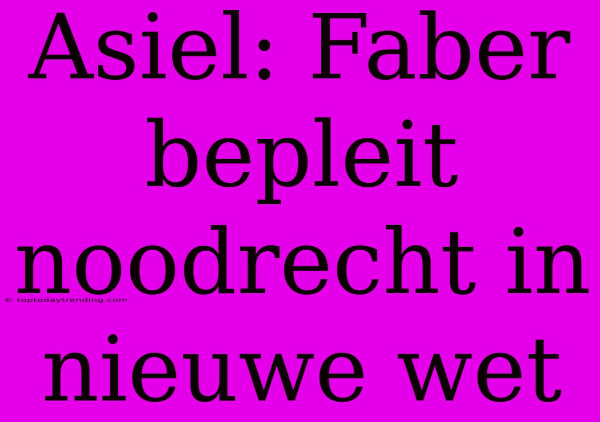 Asiel: Faber Bepleit Noodrecht In Nieuwe Wet