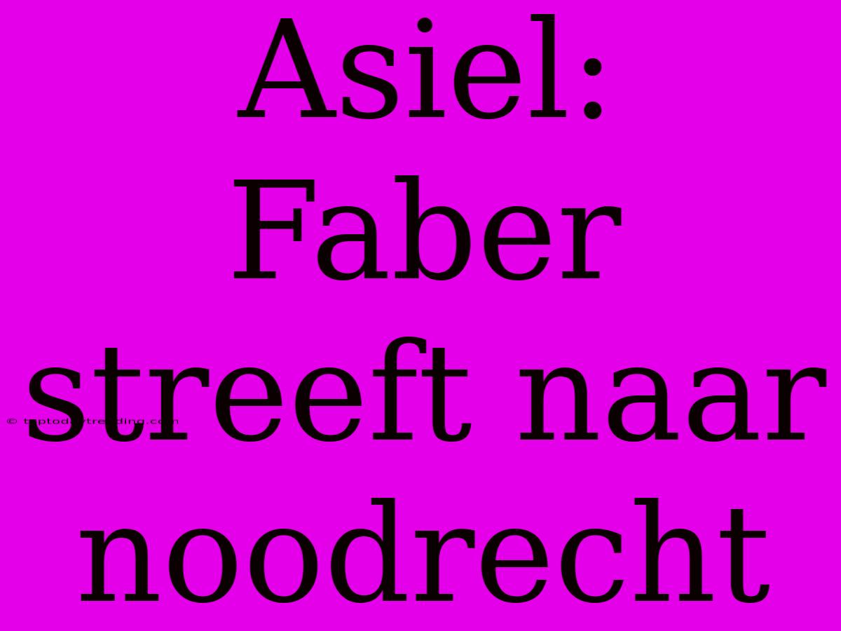 Asiel: Faber Streeft Naar Noodrecht