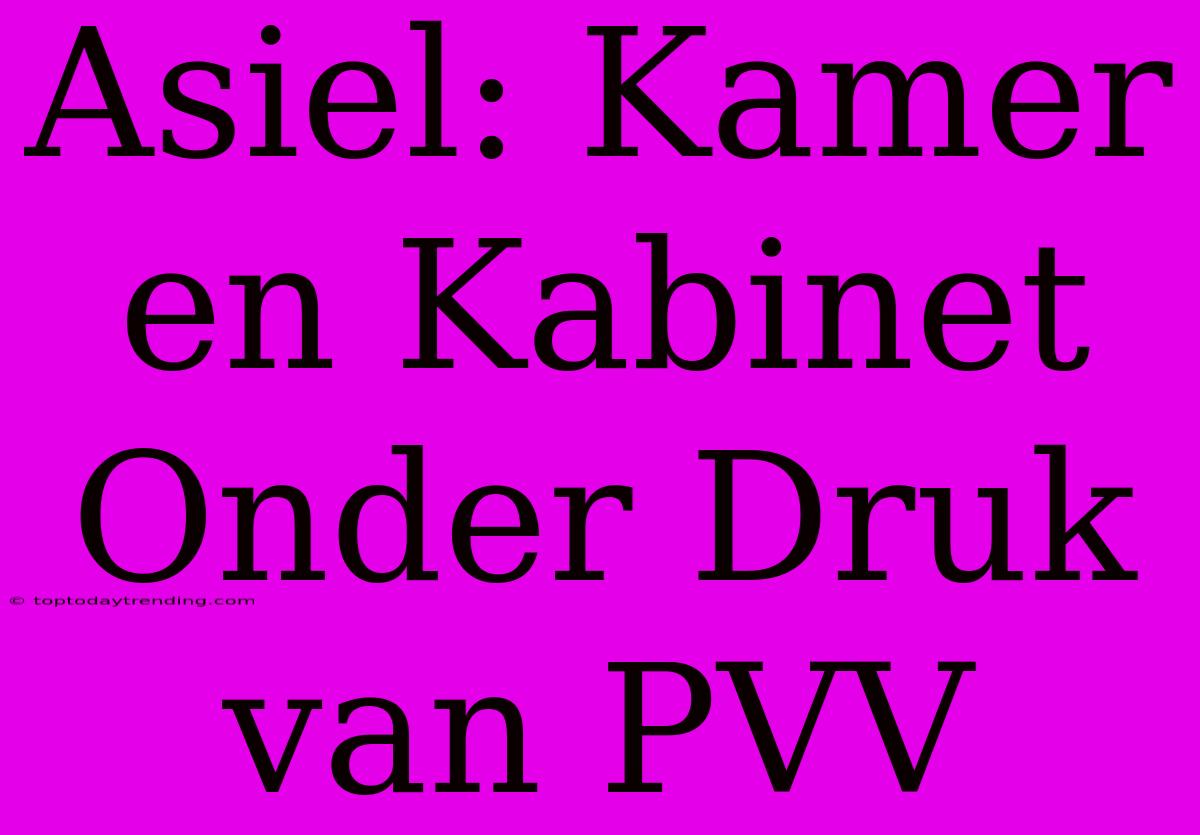 Asiel: Kamer En Kabinet Onder Druk Van PVV