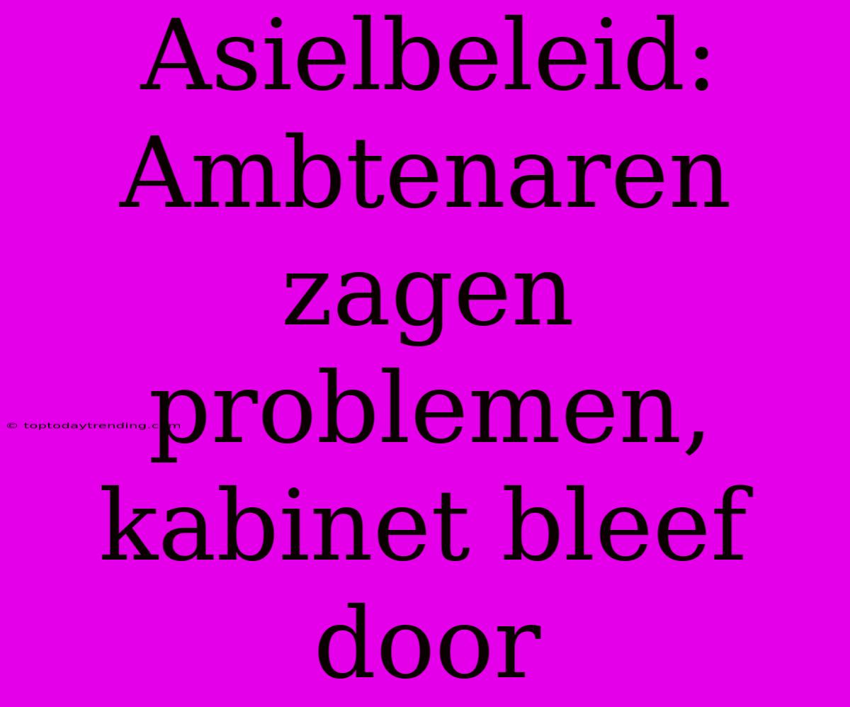 Asielbeleid: Ambtenaren Zagen Problemen, Kabinet Bleef Door