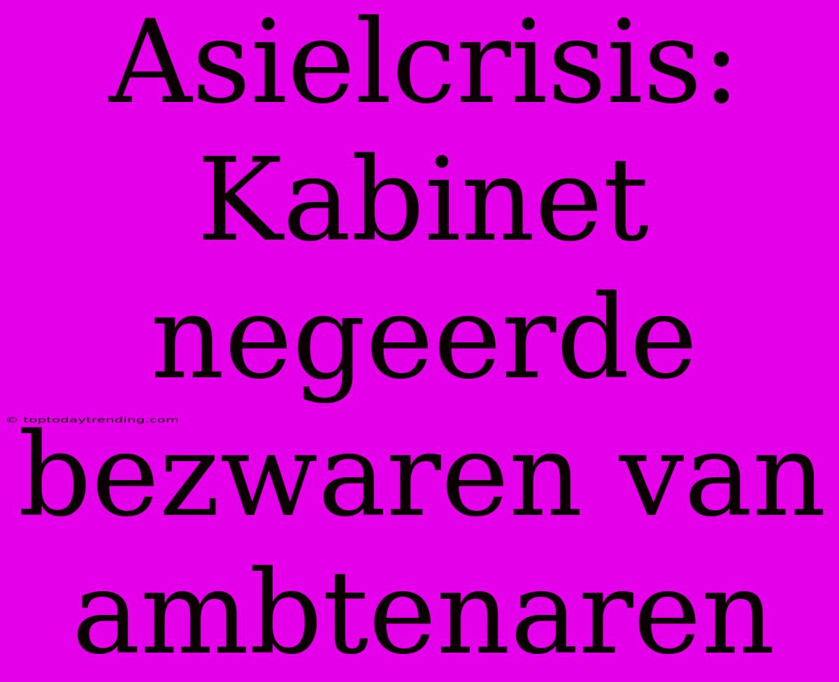 Asielcrisis: Kabinet Negeerde Bezwaren Van Ambtenaren