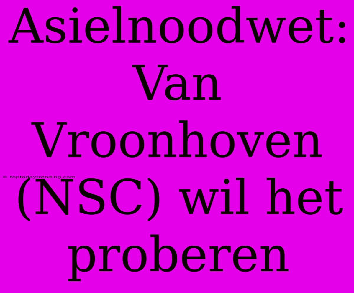 Asielnoodwet: Van Vroonhoven (NSC) Wil Het Proberen