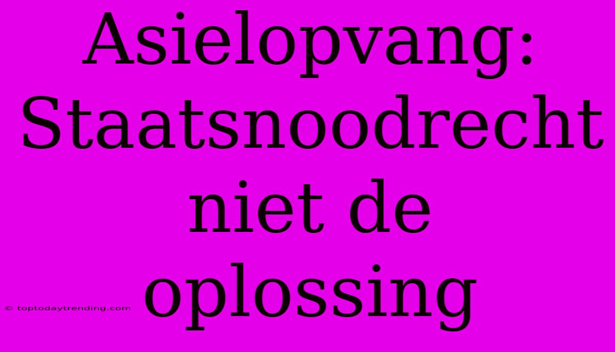 Asielopvang: Staatsnoodrecht Niet De Oplossing