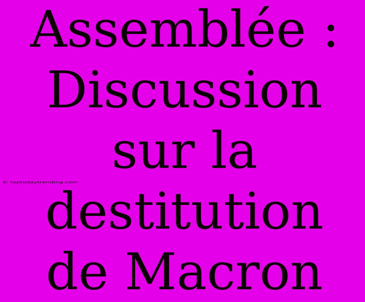 Assemblée : Discussion Sur La Destitution De Macron