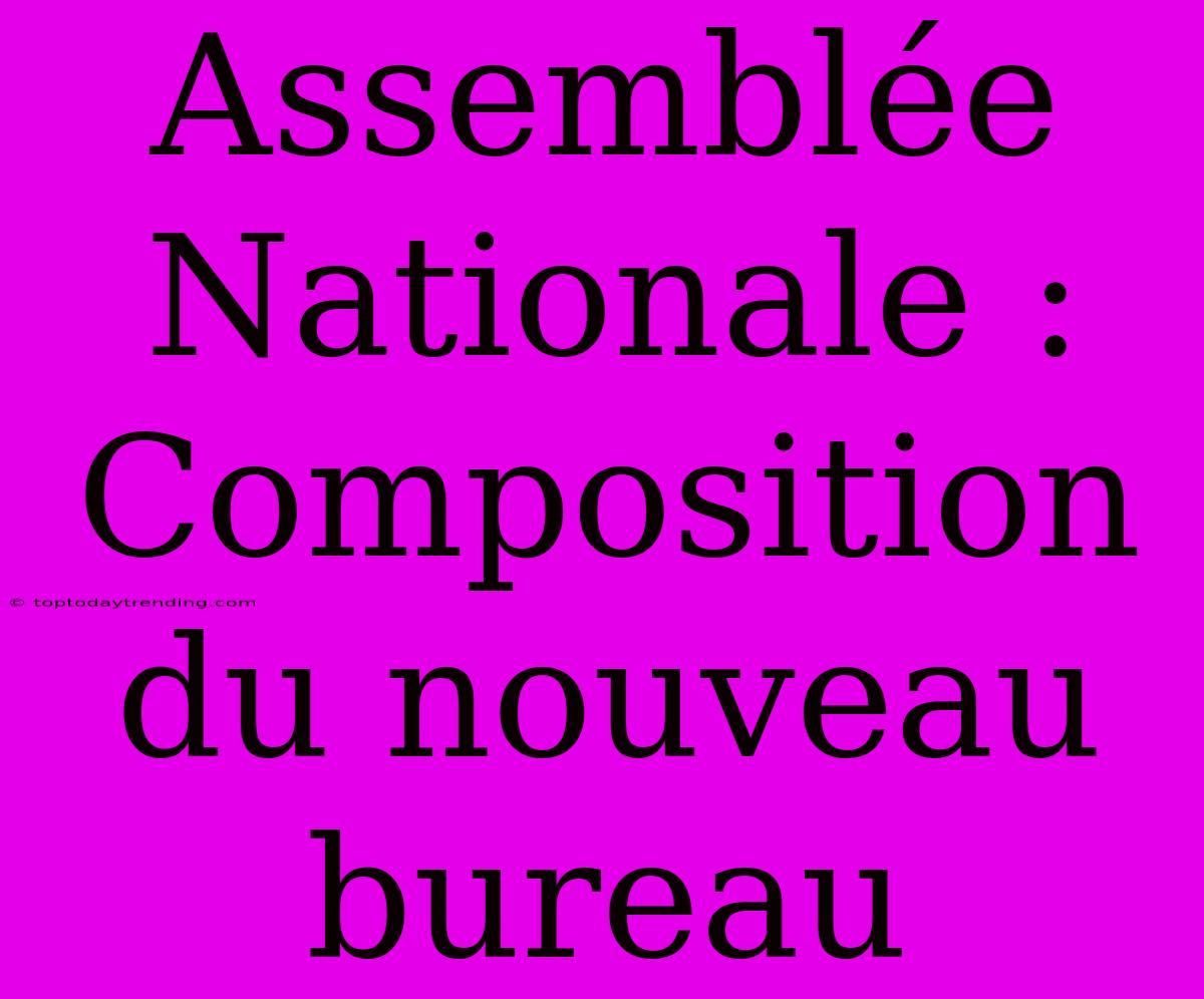 Assemblée Nationale : Composition Du Nouveau Bureau