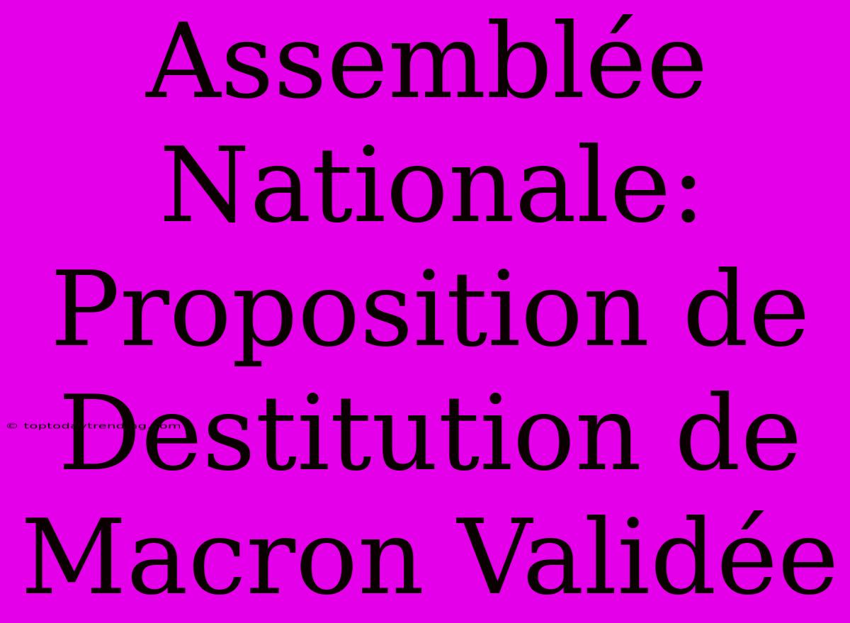 Assemblée Nationale: Proposition De Destitution De Macron Validée