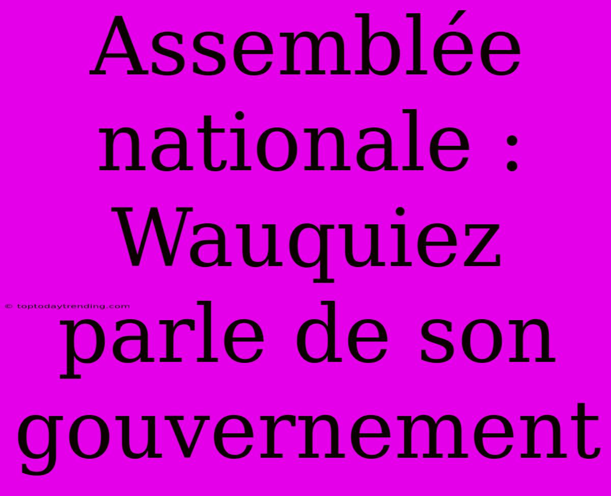 Assemblée Nationale : Wauquiez Parle De Son Gouvernement