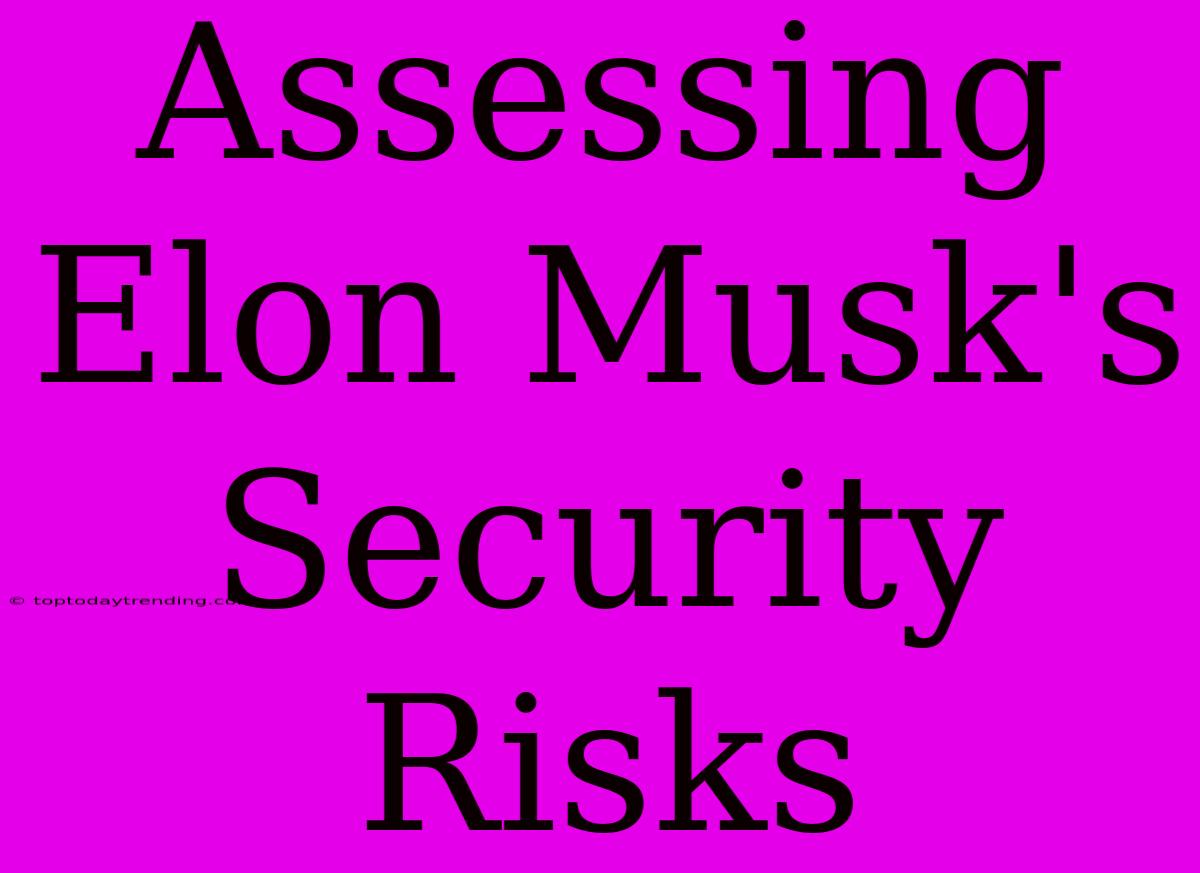 Assessing Elon Musk's Security Risks