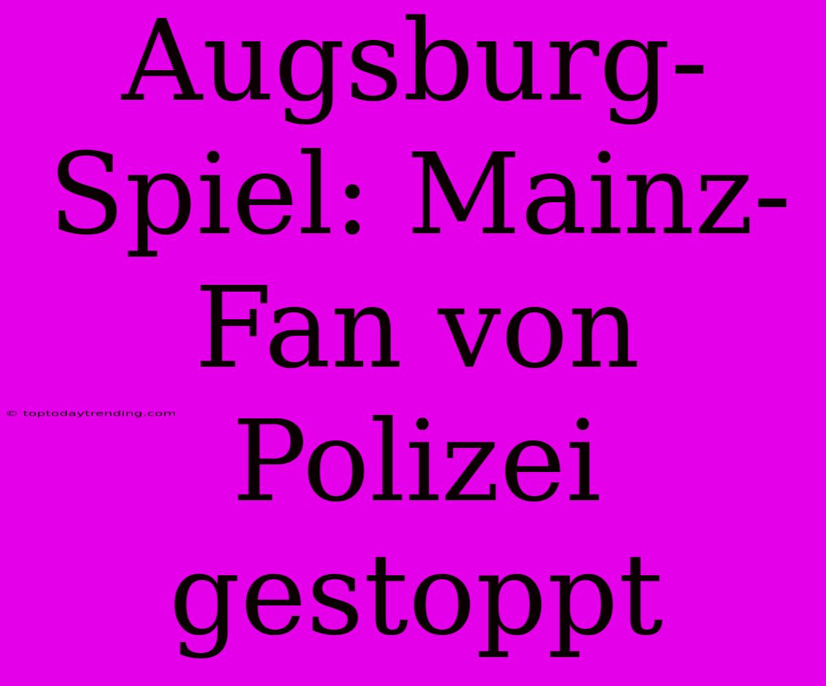 Augsburg-Spiel: Mainz-Fan Von Polizei Gestoppt