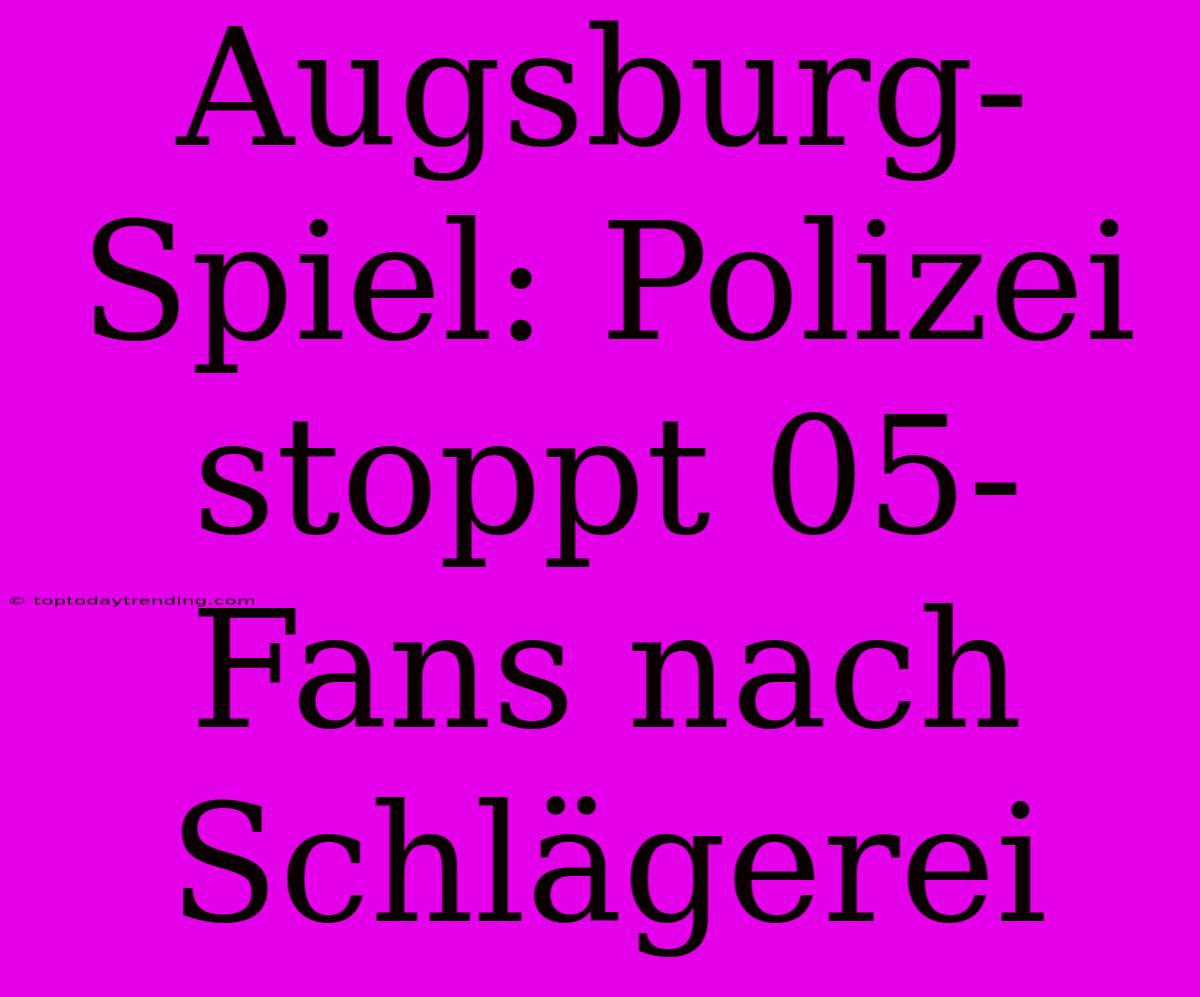 Augsburg-Spiel: Polizei Stoppt 05-Fans Nach Schlägerei