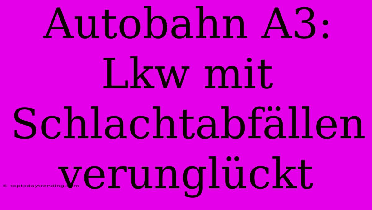 Autobahn A3: Lkw Mit Schlachtabfällen Verunglückt