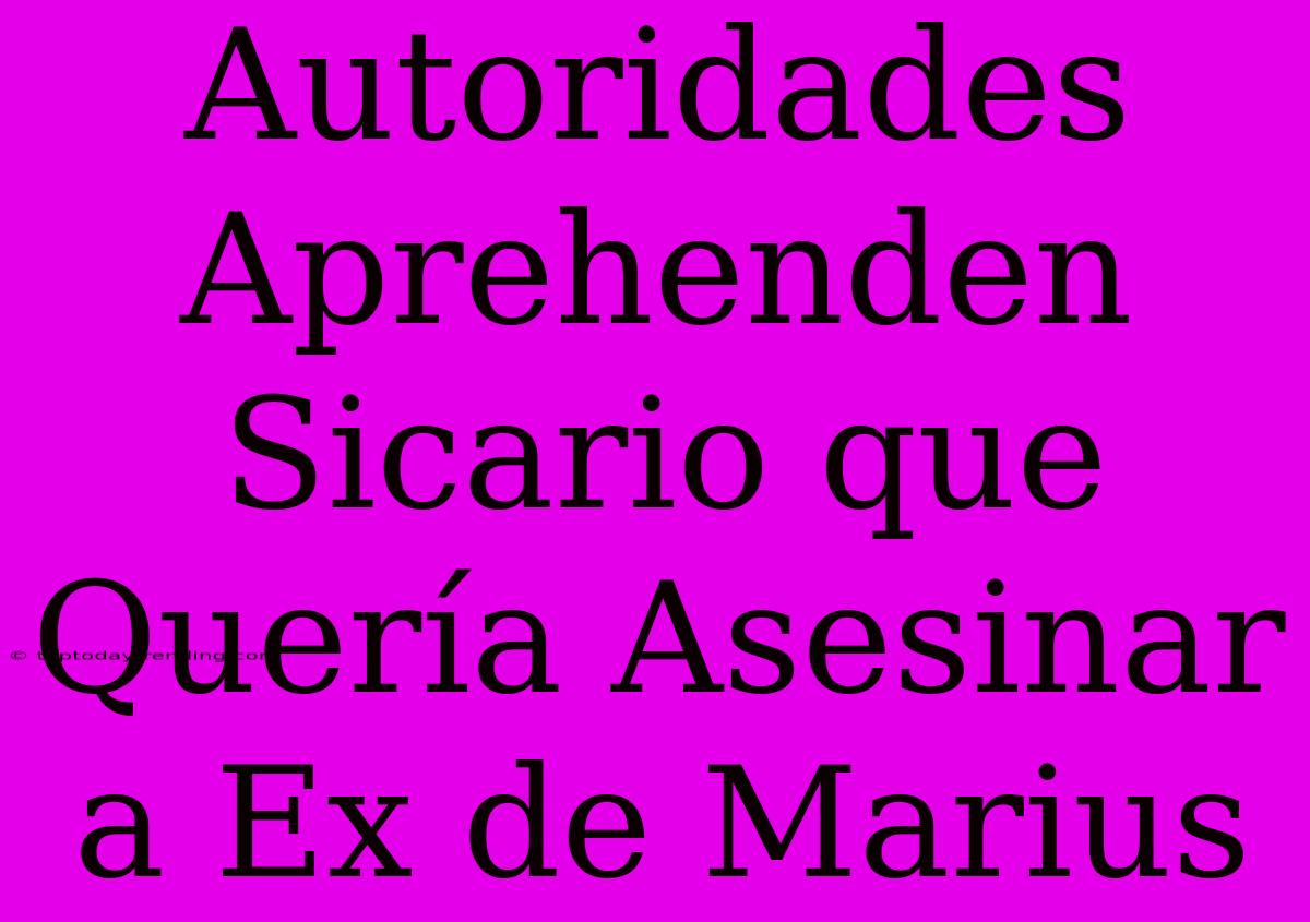 Autoridades Aprehenden Sicario Que Quería Asesinar A Ex De Marius