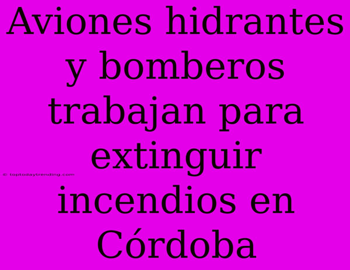 Aviones Hidrantes Y Bomberos Trabajan Para Extinguir Incendios En Córdoba