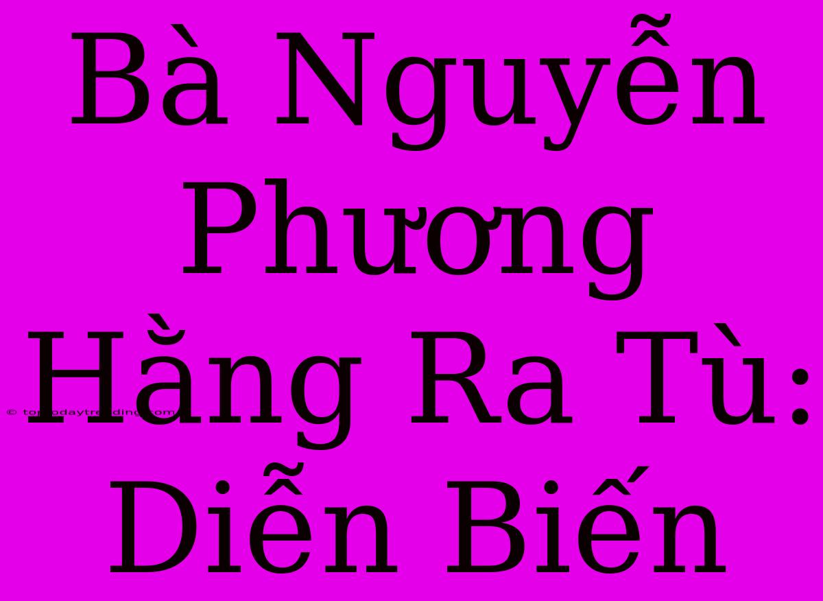 Bà Nguyễn Phương Hằng Ra Tù:  Diễn Biến