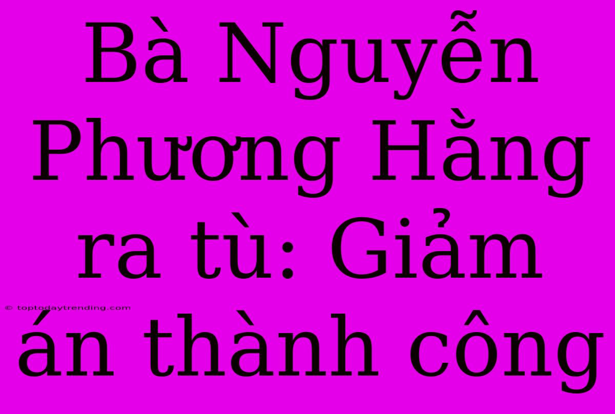 Bà Nguyễn Phương Hằng Ra Tù: Giảm Án Thành Công