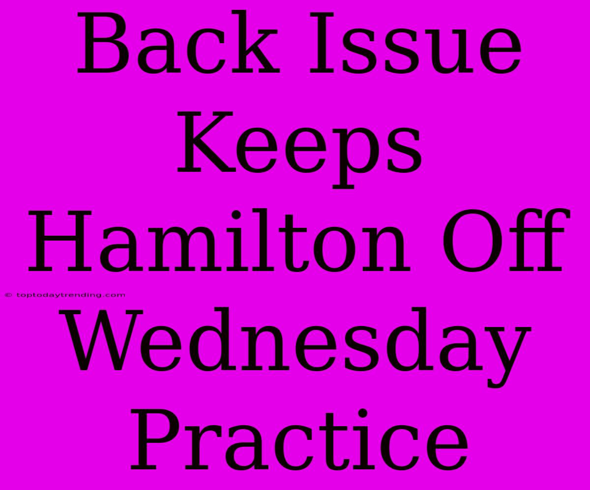 Back Issue Keeps Hamilton Off Wednesday Practice